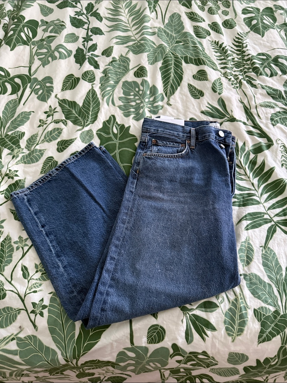 NWT agolde ren ren jeans petite in control size 30P petite